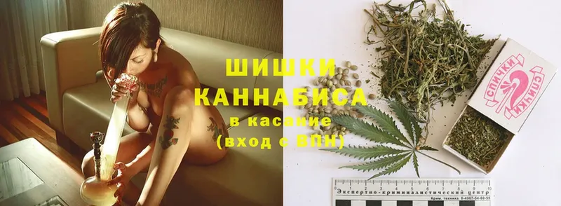 Шишки марихуана White Widow  Белёв 